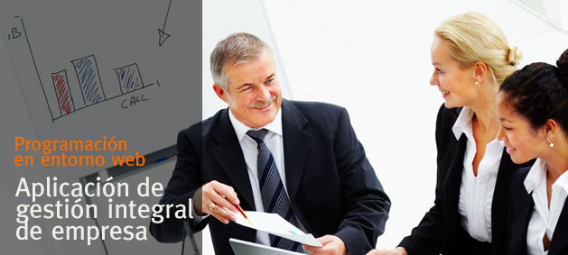 Aplicacin de gestin integral de empresa