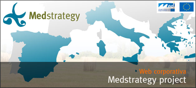 Medstrategy Project