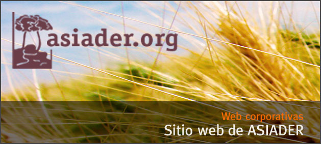 Sitio web de ASIADER